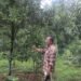 व्यावसायिक कृषि पेसाबाट मनग्ये आम्दानी