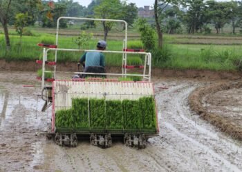 रोपाइँ गर्न आधुनिक प्रविधिको प्रयोग