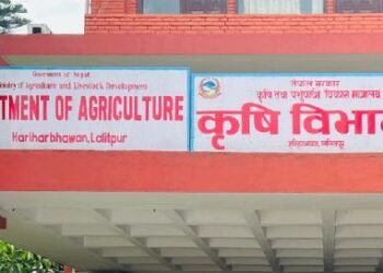 कृषि विभागद्धारा बीउ उत्पादन कार्यक्रम ५८ स्थानीय तहमा सञ्चालन