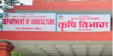 कृषि विभागद्धारा बीउ उत्पादन कार्यक्रम ५८ स्थानीय तहमा सञ्चालन