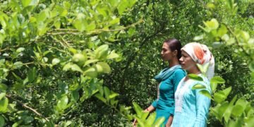 युट्युब हेरेरै व्यावसायिक कृषिमा शेर्पा