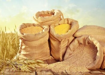झापामा सात लाख ६१ हजार मेट्रिक टन खाद्यान्न उत्पादन