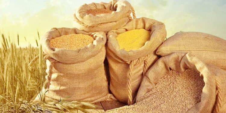 झापामा सात लाख ६१ हजार मेट्रिक टन खाद्यान्न उत्पादन