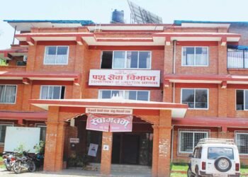 साउन १ गतेदेखि बर्डफ्लुको सङ्क्रमण देखिएको छैन : पशु सेवा विभाग