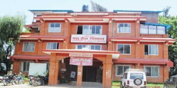 साउन १ गतेदेखि बर्डफ्लुको सङ्क्रमण देखिएको छैन : पशु सेवा विभाग