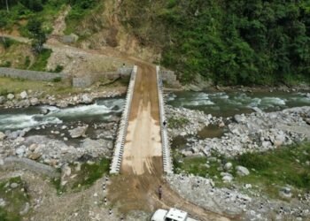 हरियाली प्रवर्द्धन गर्न छ लाख बिरुवा वितरण