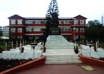 ट्राफिक जरिवानाबाट प्रहरीले २५ प्रतिशत भत्ता पाउँछ भन्ने दाबी गलत : नेपाल प्रहरी
