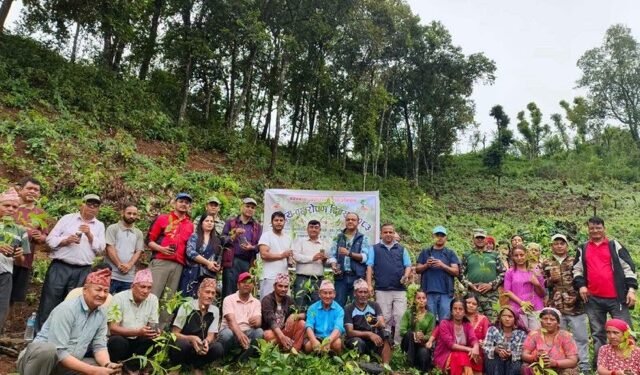 तनहुँको सामुदायिक वनमा रुद्राक्षको बिरुवा रोपन