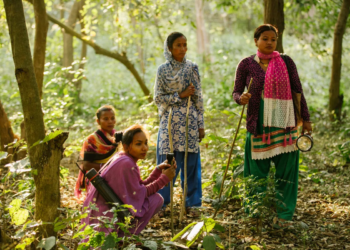 सर्पगन्धाले बदलिँदै सामुदायिक वनको स्वरूप