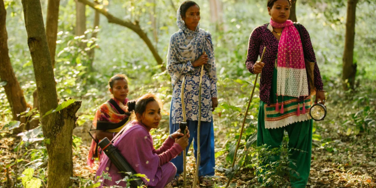 सर्पगन्धाले बदलिँदै सामुदायिक वनको स्वरूप