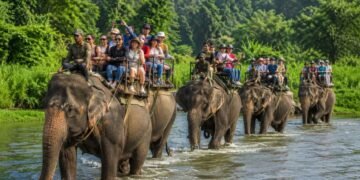 दुईदिने बिदाले गुल्जार बन्यो सौराहा, चितवनका ५० प्रतिशत होटल भरिए