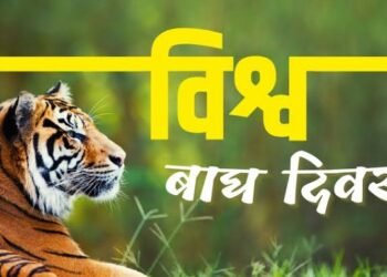 विश्व बाघ दिवसः पछिल्लो बाघ गणना सार्वजनिक गरिँदै, सङ्ख्या बढ्ने सङ्केत