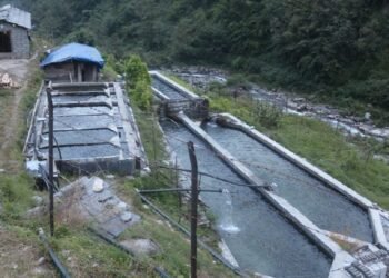 बढ्दो लागतले चुनौतीपूर्ण बन्दै माछापालन व्यवसाय