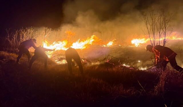 माउन्ट ब्रोमोमा डढेलो फैलिएपछि इन्डोनेसियामा आगलागी नियन्त्रण प्रयास तीव्र