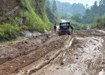 दमक–चिसोपानी सडकमा मालवाहक सवारी सञ्चालनमा रोक