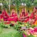 दाम्पत्य प्रेमको कामनासहित आज मधुश्रावणी पर्व समापन हुँदै