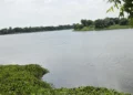 बर्जुताल पर्यटकको रोजाइमा
