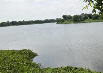 बर्जुताल पर्यटकको रोजाइमा