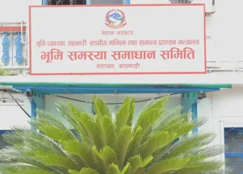 जग्गाको निस्सा दिलाइदिने भन्दै रकम असुल्नेमाथि कारबाही गरिने