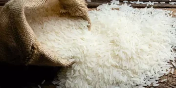 जुम्लामा एक हजार ९०० क्विन्टल चामल मौज्दात