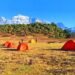 ढोरपाटनमा विदेशी सिकारीको आकर्षण