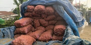 भोजपुरका गाउँमा फलेका आलु सहरका भान्सामा