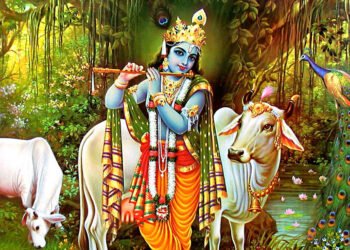 बुधबार श्रीकृष्णको पूजा गर्नुहोस्