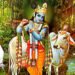 बुधबार श्रीकृष्णको पूजा गर्नुहोस्