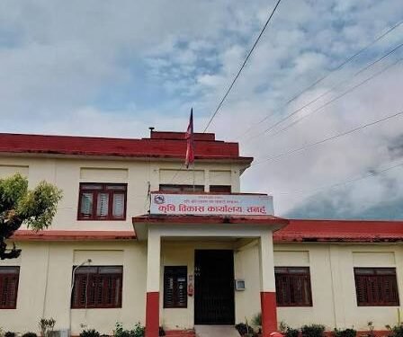 फलफूलको उत्पादन बढाउन किसानलाई अनुदान