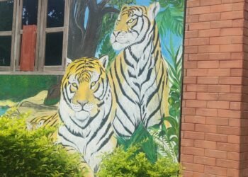 पर्सा राष्ट्रिय निकुञ्जमा बाघको सङ्ख्या ७१ पुग्नु संरक्षणको उपलब्धि, ‘सिए टिएस’ प्रमाणीकरण