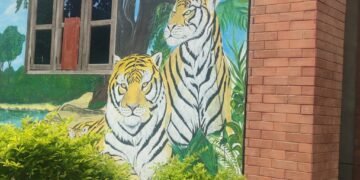 पर्सा राष्ट्रिय निकुञ्जमा बाघको सङ्ख्या ७१ पुग्नु संरक्षणको उपलब्धि, ‘सिए टिएस’ प्रमाणीकरण