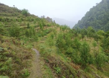 सिमस्याइलका लेकमा कृषि क्रान्ति गरिरहेका जयबहादुर