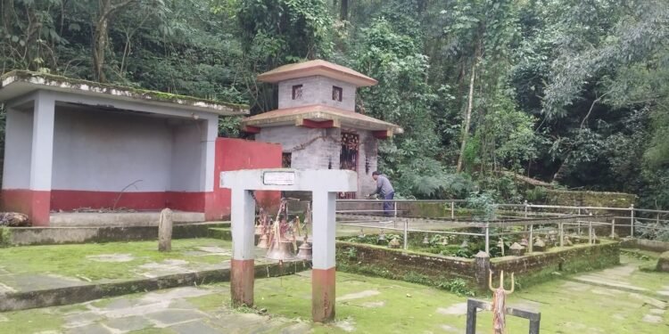 काउलेपानीको काखमा जीवित जलदेवीको विश्वास