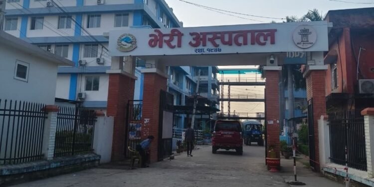 सर्पदंशका बिरामीलाई ‘सञ्जीवनी’ बन्दै भेरी अस्पताल