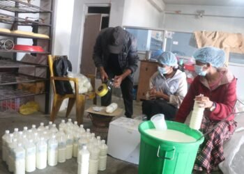 खाने हैन त ‘दुर्गा मोही’ ?