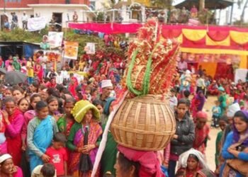 सुदूरपश्चिममा गौरा पर्व सुरु : घरघरमा बिरुडा राखी मनाइँदै