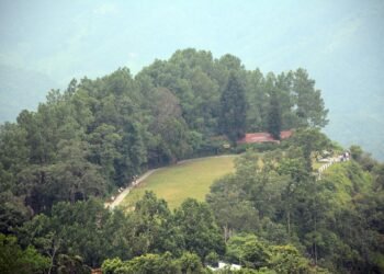 आर्थिक उन्नयनमा वनः १७ करोड २३ लाखको कारोबार