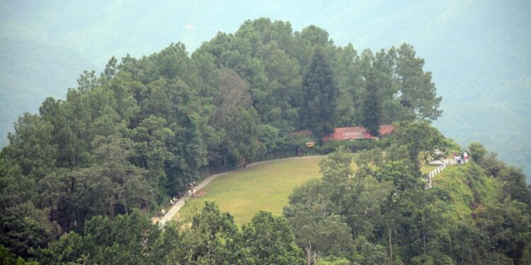 आर्थिक उन्नयनमा वनः १७ करोड २३ लाखको कारोबार