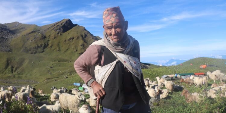 भेडागोठमा लालबिरका सात दशक