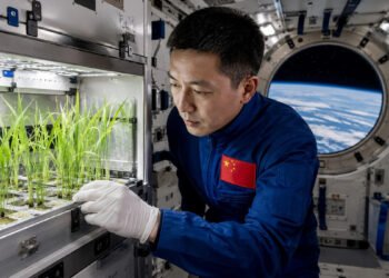 अन्तरिक्षमा खेतीको प्रयोग तीव्र पार्दै चीन, १४ प्रजातिका वनस्पति उत्पादन
