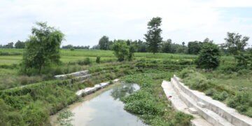 जैविक विविधतासहितको सिमसार सोती अतिक्रमणको चपेटामा