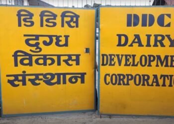 ‘दैनिक ८५ हजार लिटर वृद्धि गरी एक लाख ५० हजार लिटर दूध सङ्कलन गर्ने डीडीसीको लक्ष्य’