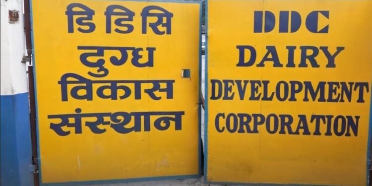 ‘दैनिक ८५ हजार लिटर वृद्धि गरी एक लाख ५० हजार लिटर दूध सङ्कलन गर्ने डीडीसीको लक्ष्य’
