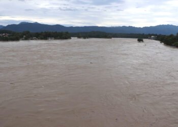 बाढीले बगाएको गैँडा कसरा ल्याइने