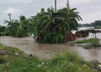 झापामा ‘ड्रोन’बाट बाढीको जोखिम निगरानी