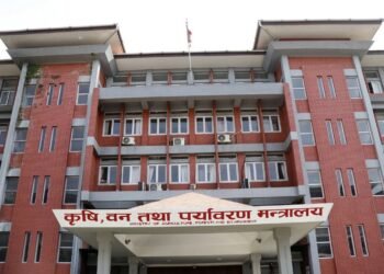 सरकारको प्राथमिकतामा वातावरणीय क्षेत्रः देखिँदैछ सुधारका सङ्केत