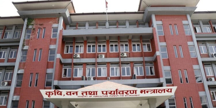 सरकारको प्राथमिकतामा वातावरणीय क्षेत्रः देखिँदैछ सुधारका सङ्केत