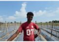 कोशीले जग्गा बगाएपछि भाडाको खेतमा तरकारी खेती गर्दै राकेश
