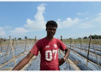 कोशीले जग्गा बगाएपछि भाडाको खेतमा तरकारी खेती गर्दै राकेश