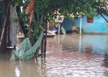 नारायणी नदीको बाढी सुस्ताको बस्तीमा पस्दा स्थानीय प्रभावित